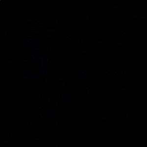 Meet your Posher, Annie